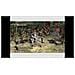 X360 - Dynasty Warriors 5: Empires - Foto miniatura 3