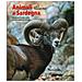 Fulco Pratesi - Animali di Sardegna. Mammiferi, anfibi e rettili nel loro ambiente naturale. Ediz. a colori - Foto miniatura 1