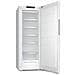 Congelatore Verticale FN4342EWS Classe E Capacità Netta 239 Litri Colore Bianco - Foto miniatura 3