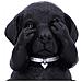 Nemesis Now - Tre Saggi Labrador Figura 8.5 Cm - Foto miniatura 2