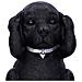 Nemesis Now - Tre Saggi Labrador Figura 8.5 Cm - Foto miniatura 4