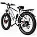 F26 Bicicletta Elettrica - Motori Da 750w*2 Batteria Da 840wh Autonomia 50km - Bianco Argento - Foto miniatura 5