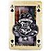 Mosse Vincenti Gioco Di 54 Carte Waddingtons N ° 1 Harry Potter - Foto miniatura 18