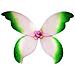 Ali Farfalla Grandi Rosa-verde - Foto miniatura 1