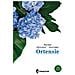 Rita Paoli - Ortensie - Foto miniatura 1