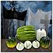 Zucca Artificiale Decorativa In Schiuma Autunno Halloween Decorazioni Tavolo 7pz - Foto miniatura 4