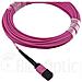 CBX-STC012BPF-MXXN-MXXN-001M-BO cavo InfiniBand e in fibra ottica 1 m MTP Rosa - Foto miniatura 2