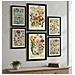 Set Di 6 Stampe Anatomia Dei Fiori In Stampe Vintage, Dipinti Decorativi Estetici Per Il Tuo Soggiorno, Camera Da Letto, Casa A3 & A4 Cornice Nera - Foto miniatura 2