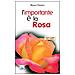 Bruno Ferrero - L'importante è la rosa - Foto miniatura 3