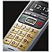 Gigaset E560, Int. , Platin - Foto miniatura 3