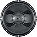 Subwoofer DS 25.3 250 mm 4 ohm - Foto miniatura 2