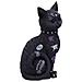 Nemesis Now - Gatto Cattivo Fino All'osso Figurina 22 Cm - Foto miniatura 4
