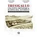 Alessandra Gilioli - Tresigallo una città metafisica, razionalista, futurista? La rivoluzione urbanistica di Edmondo Rossoni - Foto miniatura 1