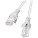 PCU6-10CC-0025-S cavo di rete Grigio 0,25 m Cat6 U /UTP (UTP) - Foto miniatura 2