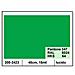plastica adesiva 45cm x 15mt verde 120 lucido - Foto miniatura 1