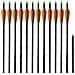 Set 12 Frecce Per Arco Composito Standard 76,2 Cm / 0,8 Fibra Vetro - Foto miniatura 1