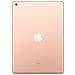 [Ricondizionato GOLD] iPad 10.2 128 GB 10.2" Wi-Fi Oro - Foto miniatura 3