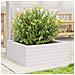 Fioriera Da Giardino Bianca 60x60x23 Cm Legno Massello Di Pino - Foto miniatura 3