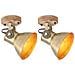 Lampade da Parete / Soffitto 2 pz Industriale Ottone 20x25 cm E27 - Foto miniatura 1