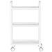 Carrello Per Parrucchieri Estetisti Tavolino Su Rotelle Per La Tintura St001w Al Salone Di Bellezza Scaffale Con Ripiani - Foto miniatura 3