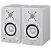 Altoparlanti HS3 22 kHz con Woofer 3,5" Colore Bianco - Foto miniatura 1