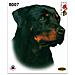 Adesivo Sticker Cane Rottweiler, 13,5 x 16 cm - Foto miniatura 1