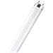 L 30 W / 865, T8, G13, Bianco, A, Illuminazione fredda - Foto miniatura 1