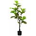 Albero di Ficus Artificiale 30 Foglie 125 cm Verde - Foto miniatura 1