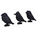 Tre Corvi Saggi Figurine 8.7 Cm - Foto miniatura 3