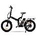 E-bike Bimax Xl - Foto miniatura 2