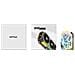 Gaming GeForce RTX 5050 Twin Edge 8GB GDDR6 PCI Express x8 5.0 - Foto miniatura 7