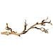 Rami Naturali Forest Branch60 Cm - Foto miniatura 1