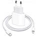 Caricatore Da Muro Usb-c 20w + Cavo Lightning Power Delivery Originale Apple - Foto miniatura 2