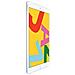 [Ricondizionato BASIC] iPad 10.2 128 GB 10.2" Wi-Fi - 4G Argento - Foto miniatura 4