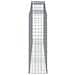 Cesti Gabbioni Ad Arco 4 Pz 400x50x160/180 Cm Ferro Zincato - Foto miniatura 4