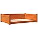 Cuccia Cani Marrone Cera 105,5x75,5x28 cm Legno Massello Pino - Foto miniatura 1