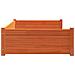 Cuccia Cani Marrone Cera 105,5x75,5x28 cm Legno Massello Pino - Foto miniatura 6