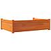 Cuccia Cani Marrone Cera 105,5x75,5x28 cm Legno Massello Pino - Foto miniatura 7