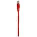ICOC U5EB-003-RE - Cavo di rete Patch in Rame Cat. 5e Rosso UTP 0,3 mt - Foto miniatura 2