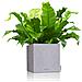 CANTO Interno /esterno Fioriera Libera installazione Plastica Grigio - Foto miniatura 10