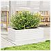 Fioriera Da Giardino Bianca 70x40x23 Cm Legno Massello Di Pino - Foto miniatura 3