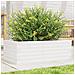 Fioriera Da Giardino Bianca 70x40x23 Cm Legno Massello Di Pino - Foto miniatura 1