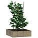 Supporti Piante Da Giardino Con 3 Anelli 5pz Verde 75cm Acciaio - Foto miniatura 3