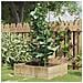 Supporti Piante Da Giardino Con 3 Anelli 5pz Verde 75cm Acciaio - Foto miniatura 1