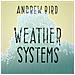 Andrew Bird - Weather Systems - Foto miniatura 1