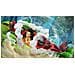 One Piece Pirate Warriors 4  - Foto miniatura 5