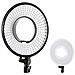 DVR-300DVC illuminazione continua per studio fotografico 19 W - Foto miniatura 1