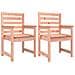 Sedie Da Giardino 2pz 60x48x91 Cm Legno Massello Di Douglas - Foto miniatura 1