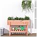 Fioriera Rialzata Giardino 101x30x69 Cm Legno Massello Douglas - Foto miniatura 1