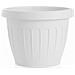 Vaso Terra Diametro Cm. 25 Colore Bianco - Foto miniatura 2